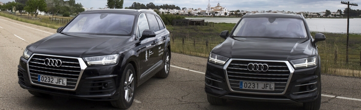 Huelva Wagen Audi cubre el dispositivo de Movilidad del Plan Aldea en El Rocío