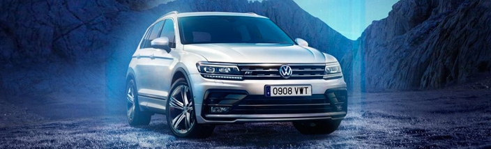 Tiguan - Huelva Wagen