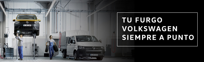 Libro de Servicio 2019