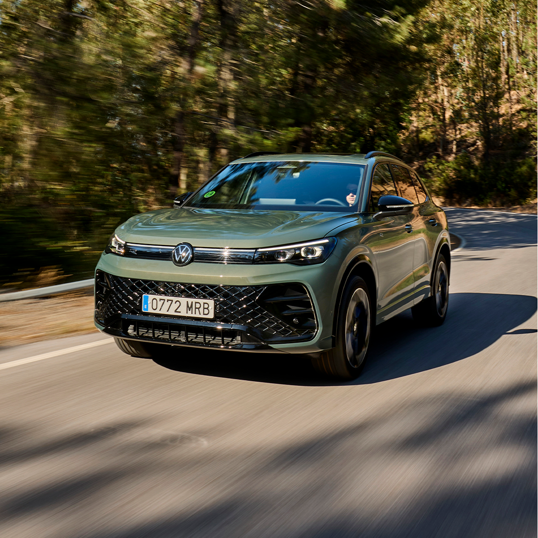 Descripción de la imagen