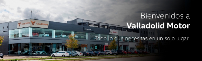 Audi electric lovers | Huelva Wagen